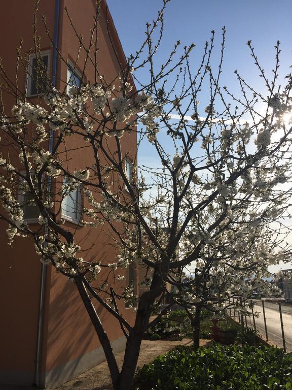 Nina Apartament Zadar